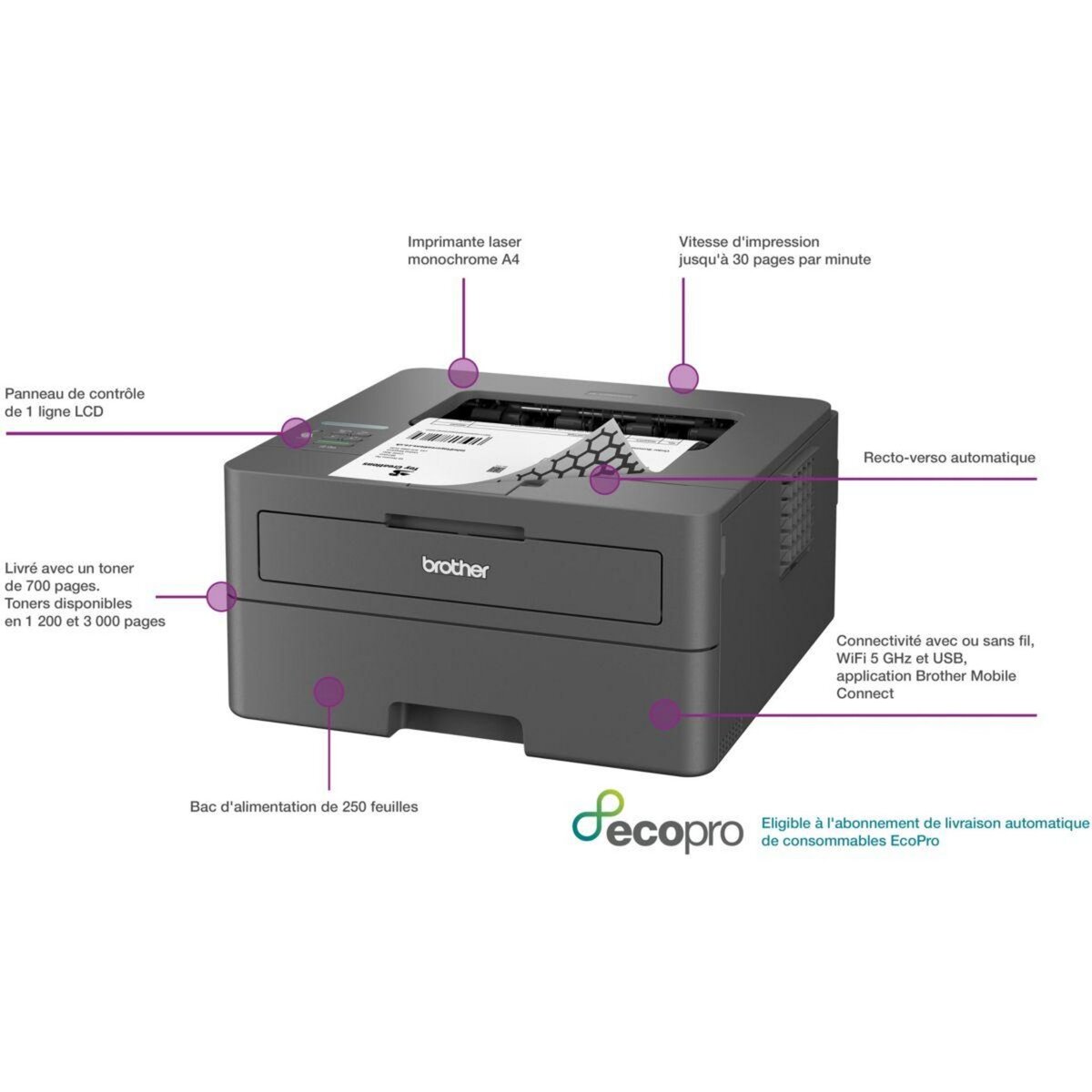Brother Imprimante laser HL-L2400DWE éligible à EcoPro