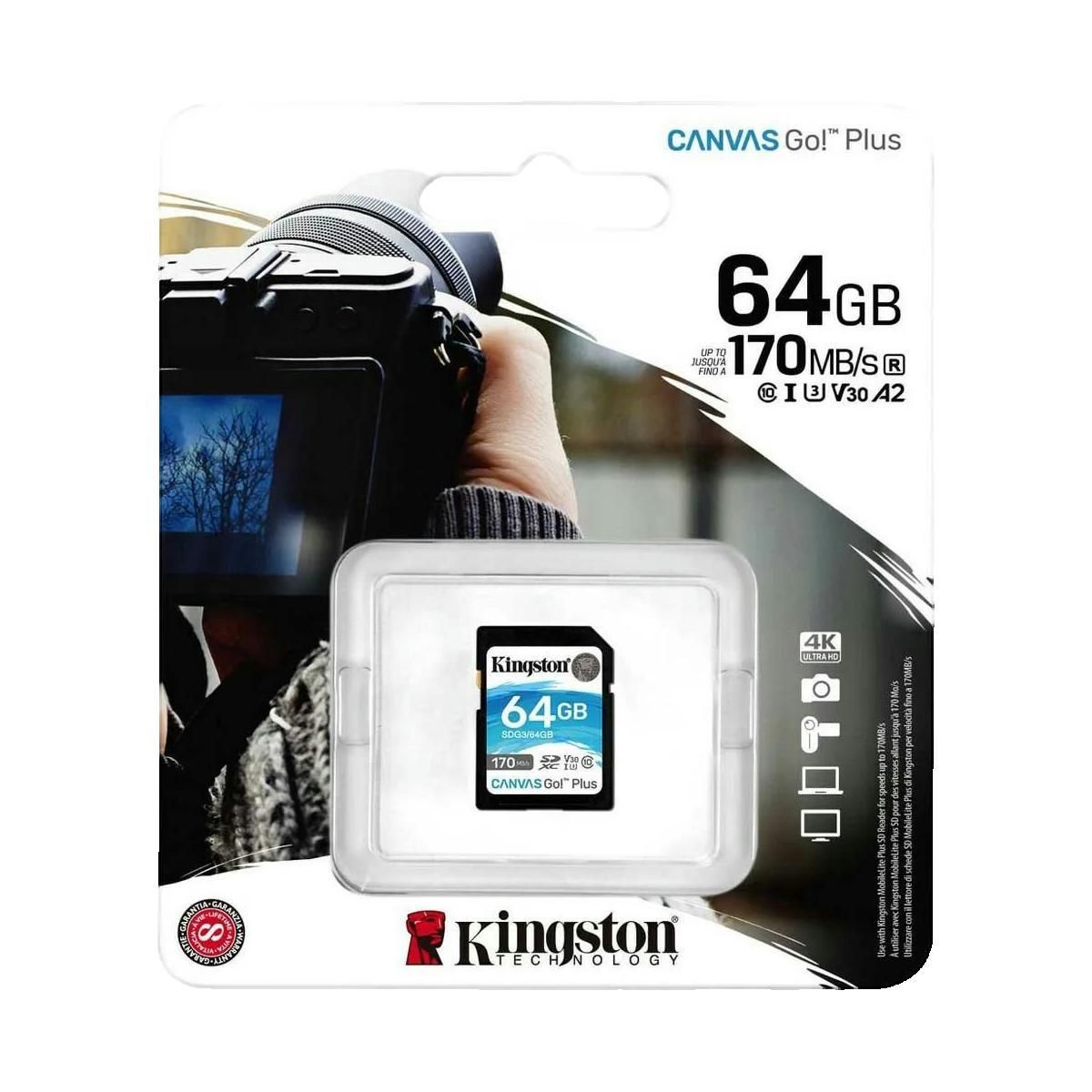 Kingston Carte mémoire Kingston Canvas Go! Plus 64 Go