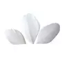 Graine créative 50 plumes coupées - Blanc 6 cm