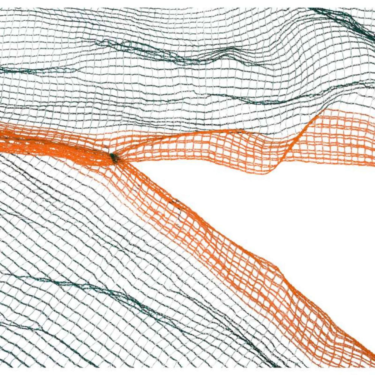  Filet à olives 50g/m2 Werkapro 5 x 5m - 25m2