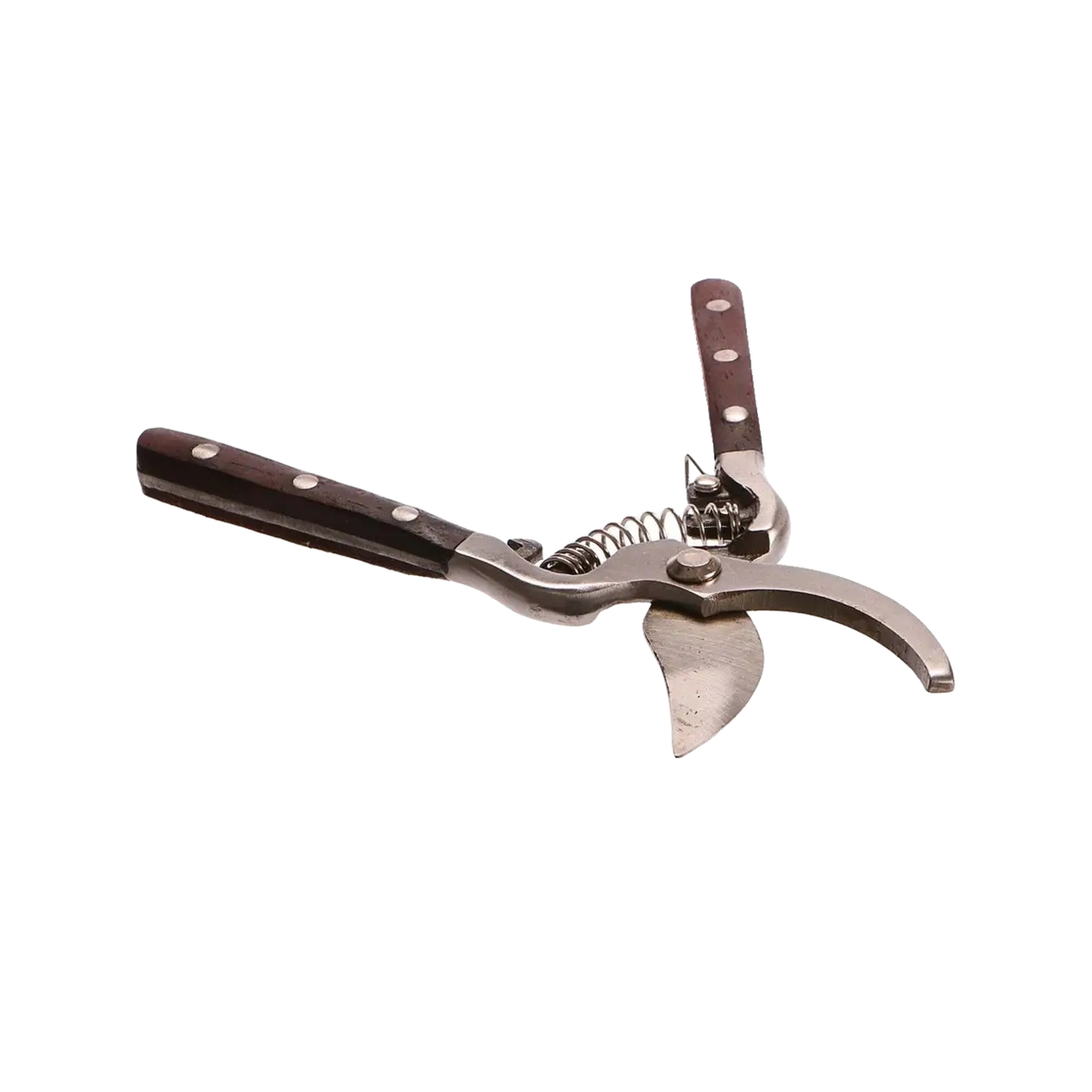 Voir la diapositive 5 : Geko Outil de jardin Geko g72002 200 mm avec manche en bois