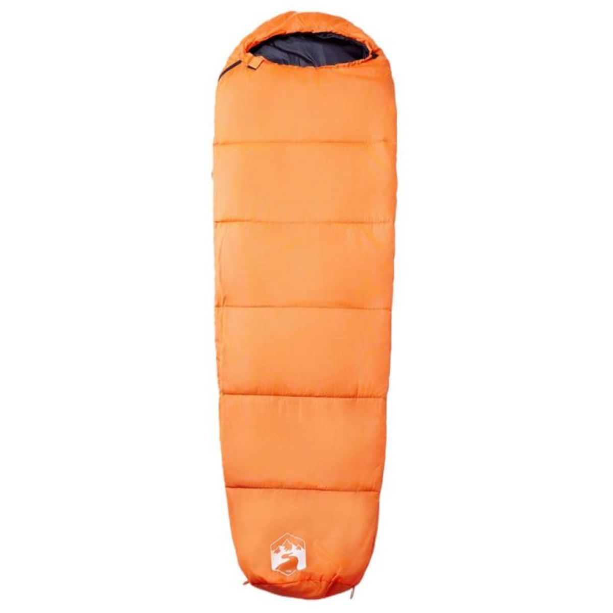 VIDAXL Sac de couchage momie pour adultes camping 3 saisons