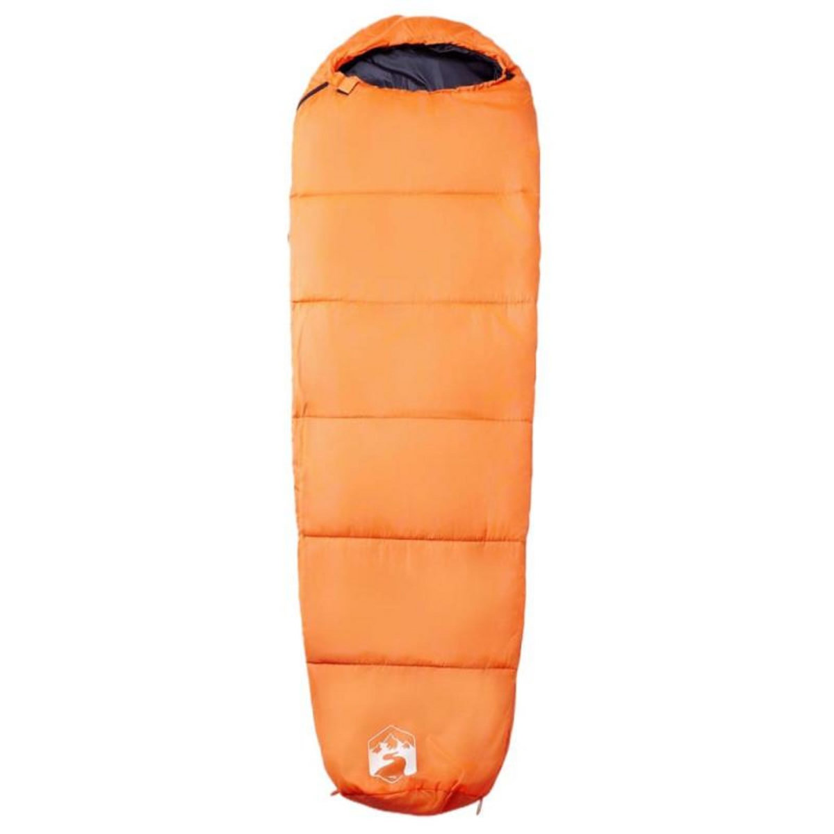 VIDAXL Sac de couchage momie pour adultes camping 3 saisons