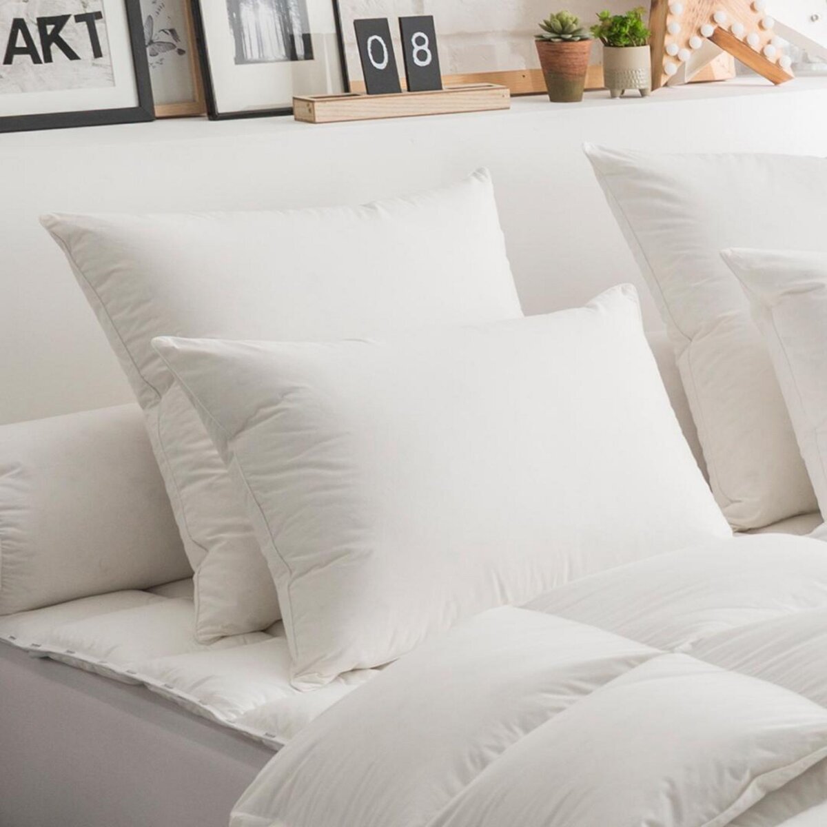 DODO Oreiller 50% Duvet ECO-RESPONSABLE FERME