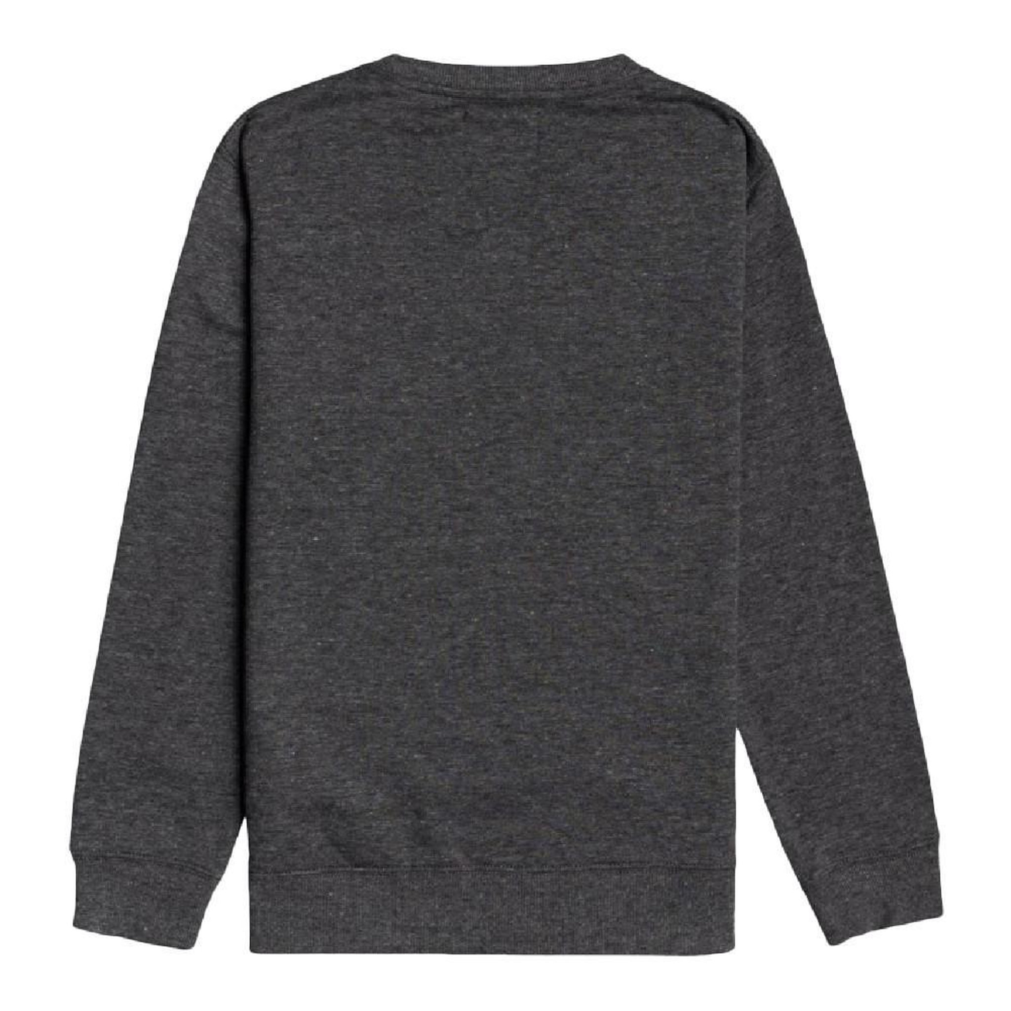 Voir la diapositive 2 : BILLABONG Sweat Gris/ Garçon Billabong Wavy