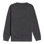 Voir la diapositive 2 : BILLABONG Sweat Gris/ Garçon Billabong Wavy