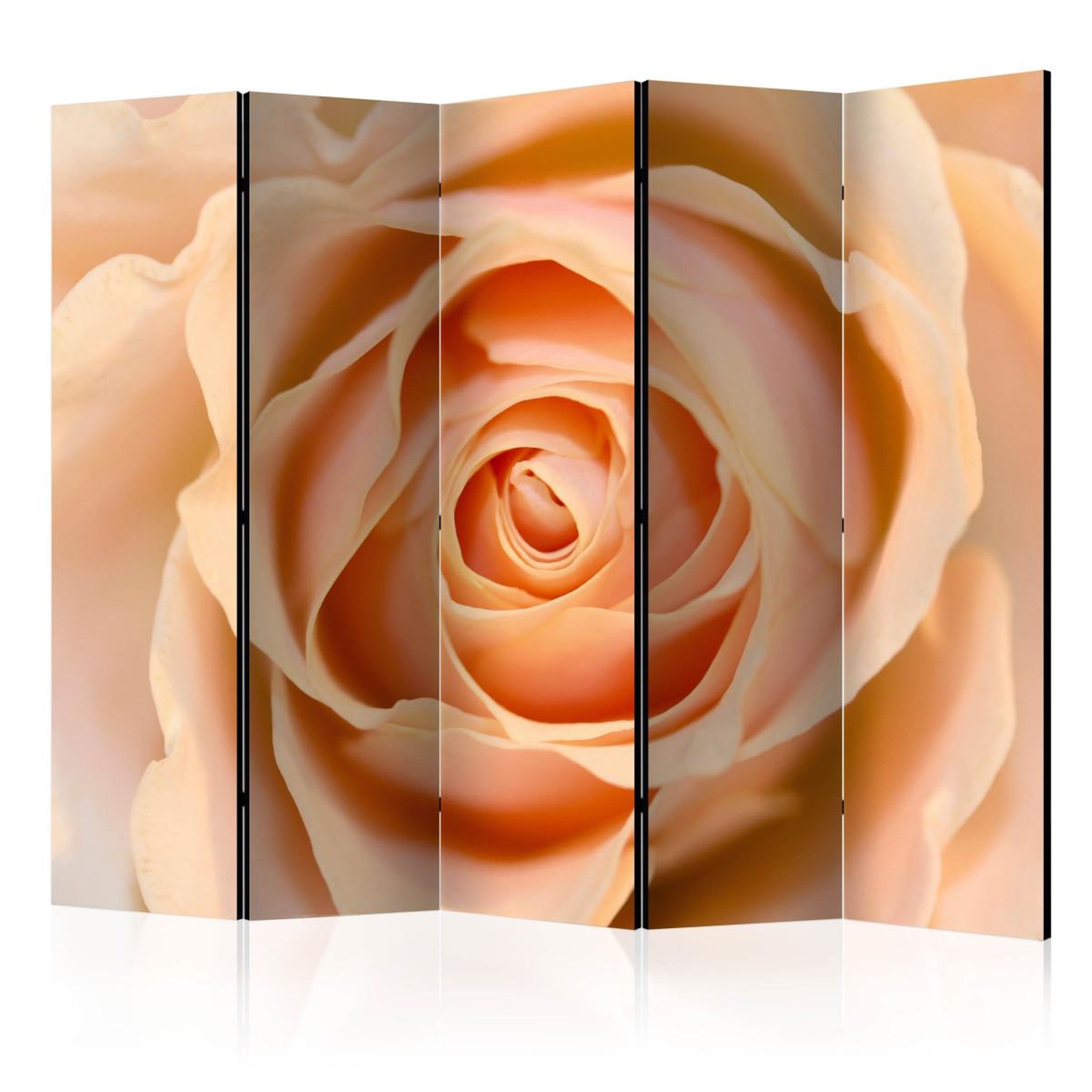 Paris Prix Paravent 5 volets  peach colored rose  172x225cm