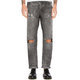 Gris