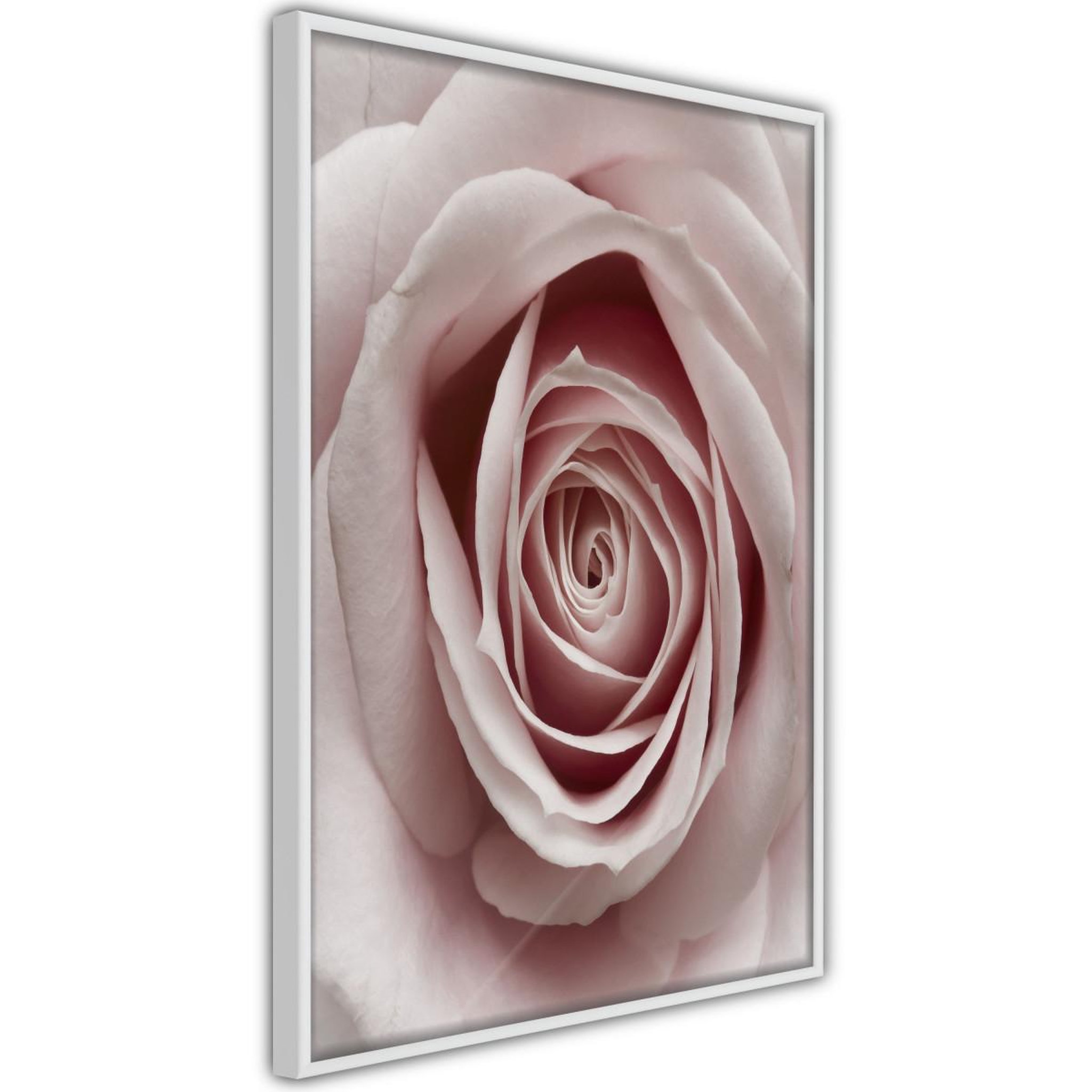 Paris Prix Affiche Murale Encadrée  Rosebud