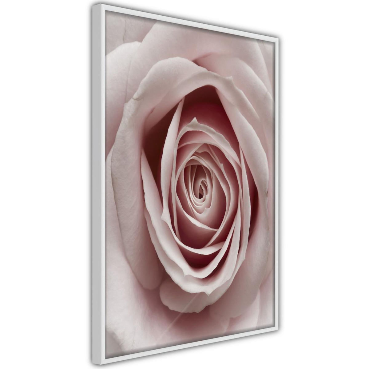 Paris Prix Affiche Murale Encadrée  Rosebud