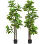 Voir la diapositive 1 : HOMCOM Ficus Lutea artificiels 1,80H m - lot de 2 ficus artificiels - 120 feuilles réalistes par pied - pot inclus noir vert
