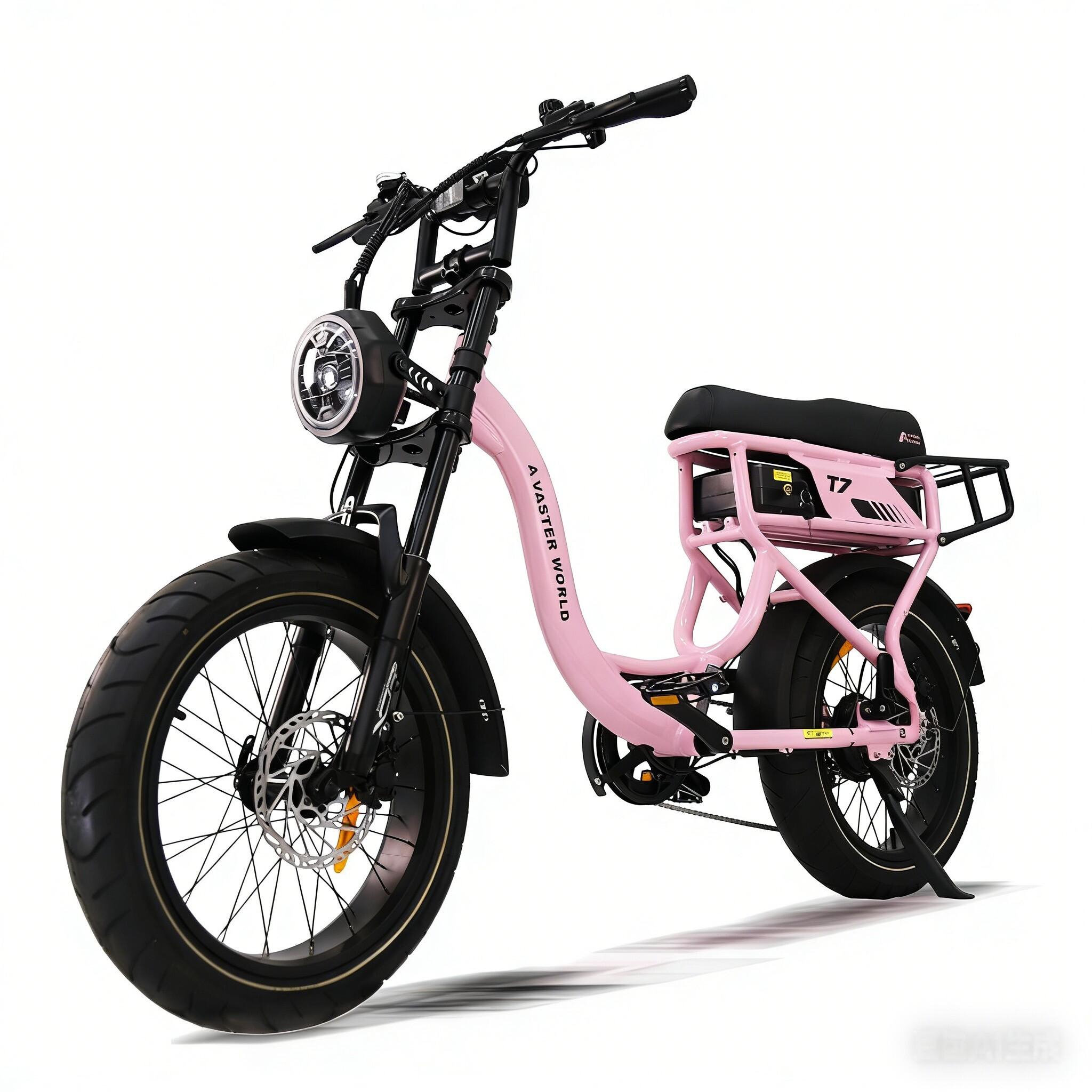 AVDL Vélo électrique fat bike t7 20 , 250 w, 48 v, 18 ah, grande autonomie, pour deux passagers
