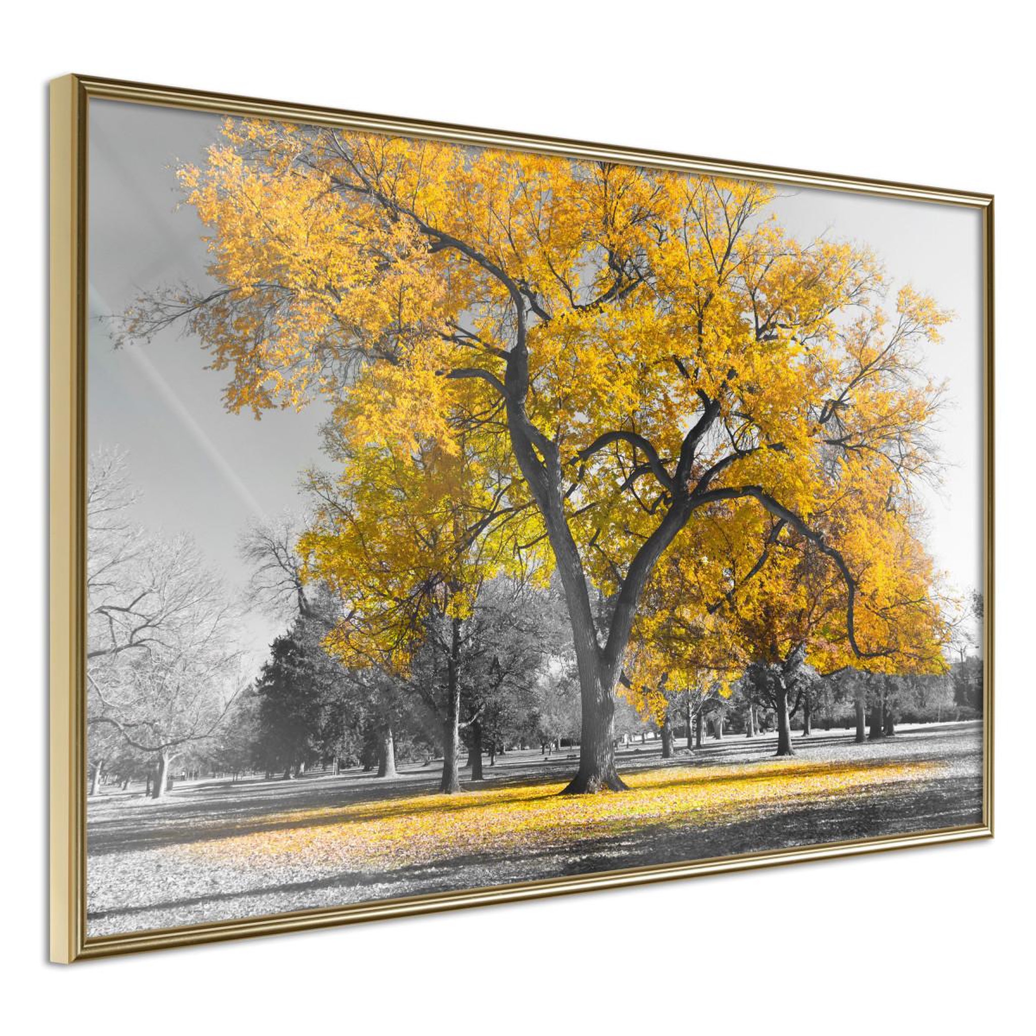 Voir la diapositive 1 : Paris Prix Affiche Murale Encadrée  Golden Tree