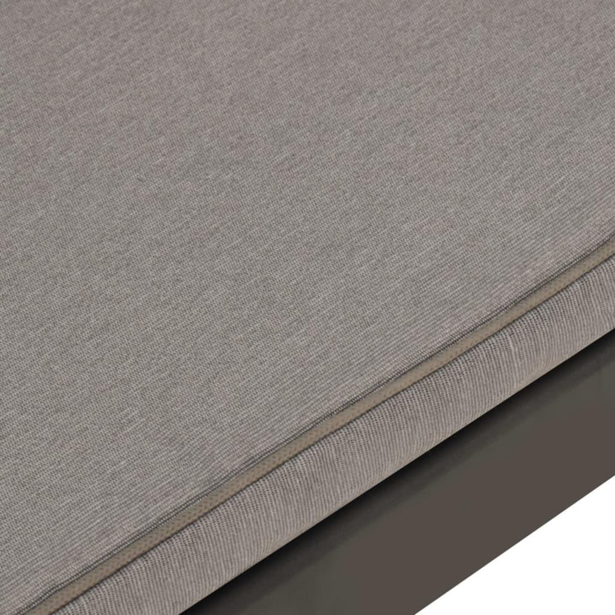 VIDAXL Banc de salon de jardin avec coussin Plastique Gris