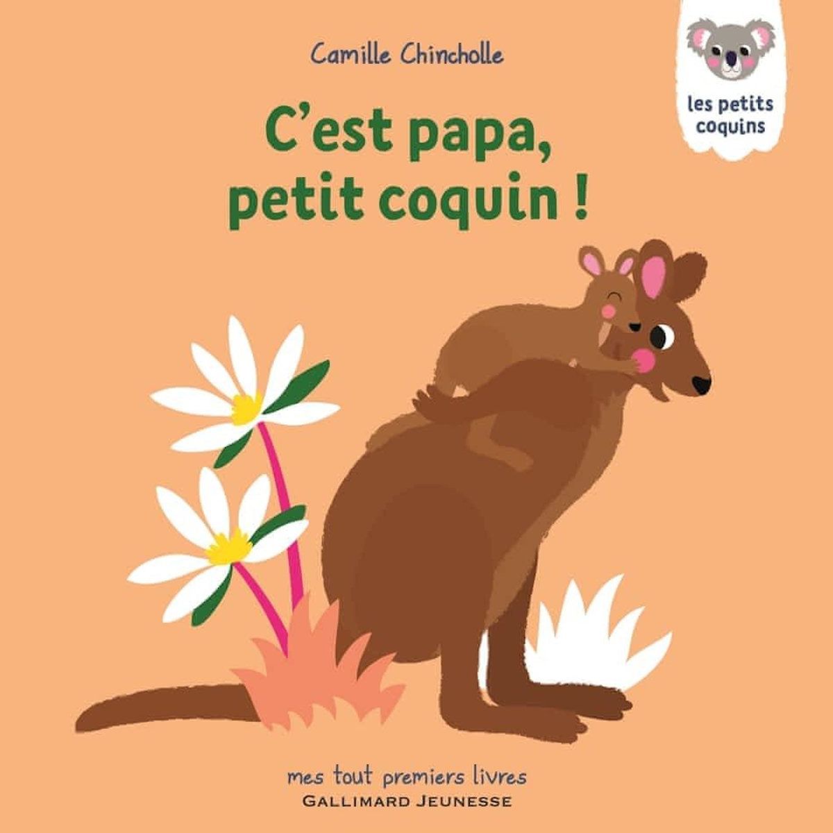 LES PETITS COQUINS : C'EST PAPA, PETIT COQUIN !, Chincholle Camille