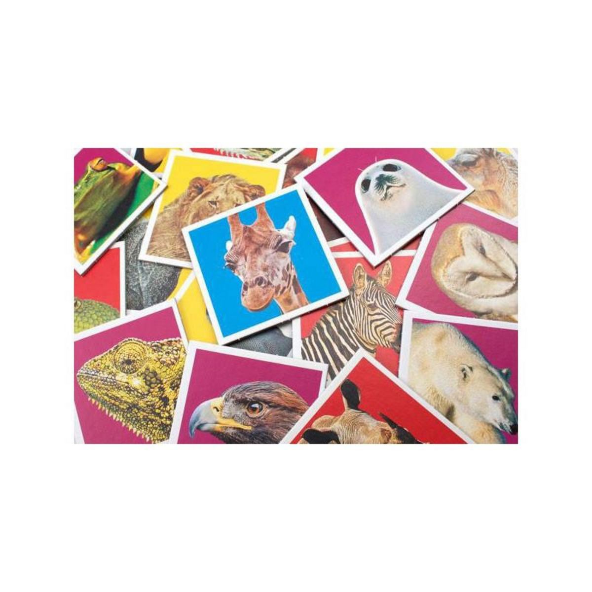 Tactic TACTIC Wildlife Memo