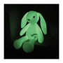 Voir la diapositive 4 : JEM Peluche lumineuse Jemini Luminou photoluminescente
