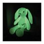 Voir la diapositive 4 : JEMINI LIMINOU Peluche lumineuse lapin +/- 30 cm