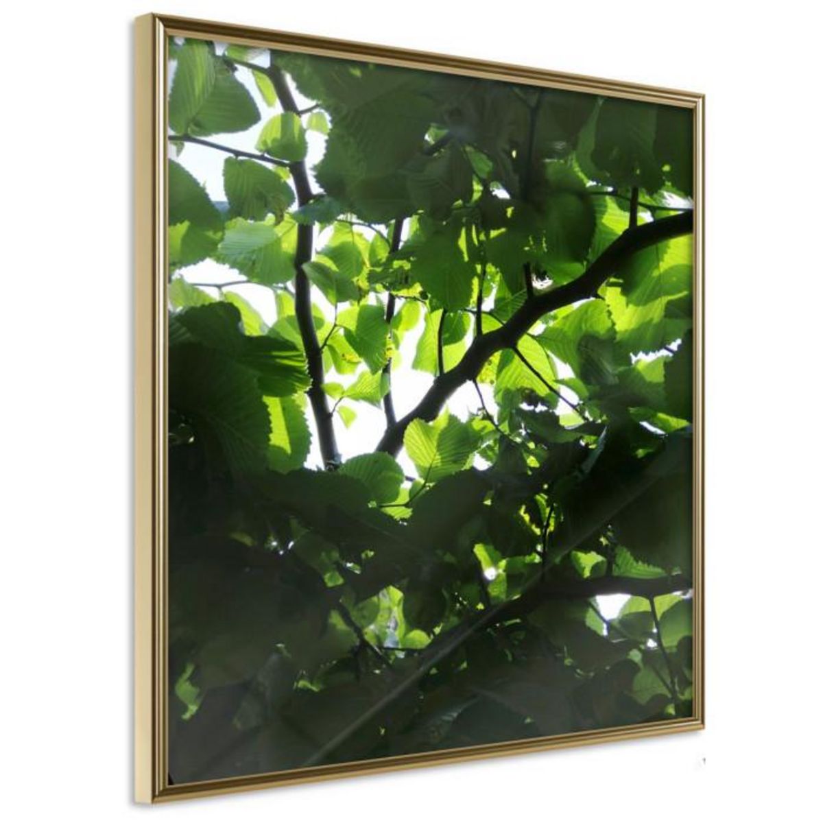 Paris Prix Affiche Murale Encadrée  Under Cover of Leaves