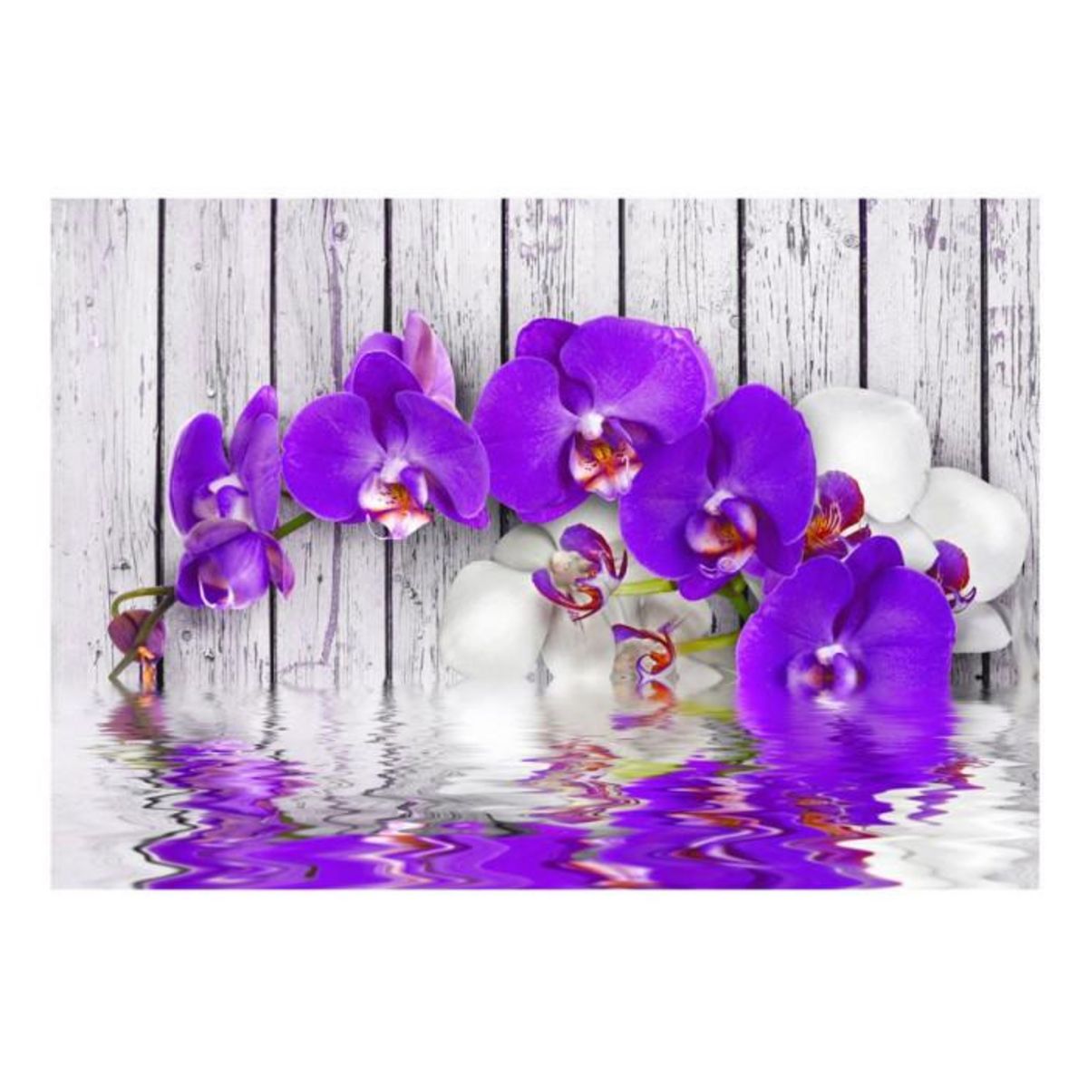 Paris Prix Papier Peint  Dormant Instincts