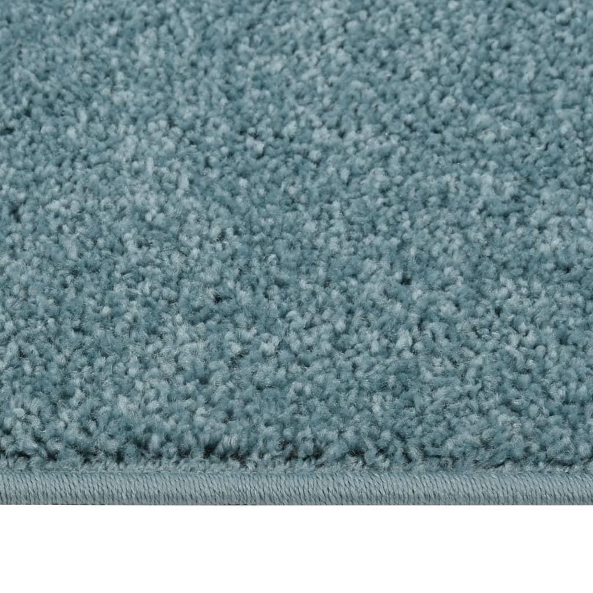 Voir la diapositive 2 : VIDAXL Tapis a poils courts 160x230 cm Bleu