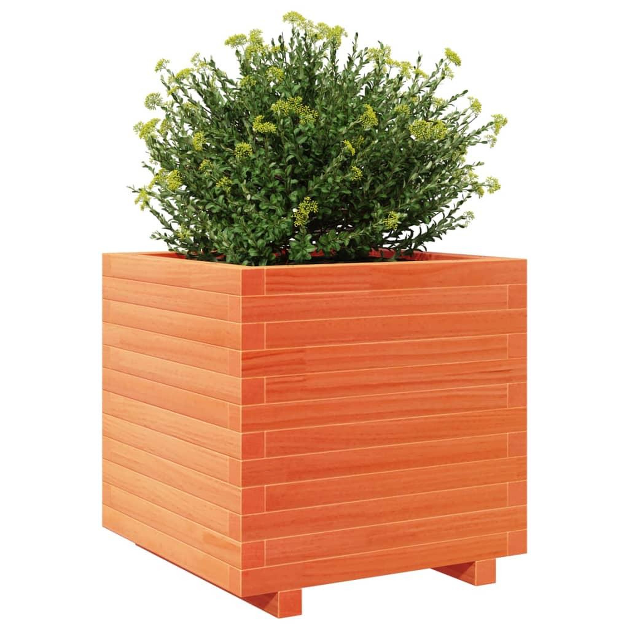 Voir la diapositive 4 : VIDAXL Jardiniere cire marron 50x50x49,5 cm bois de pin massif