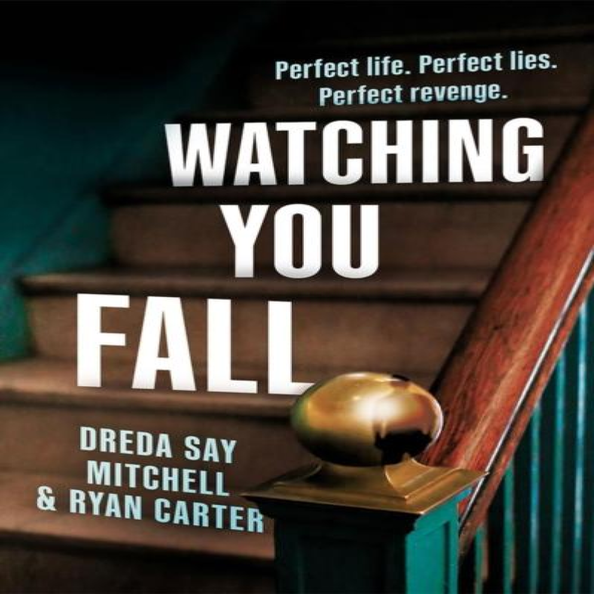 LIVRES Watching You Fall - Ryan Carter