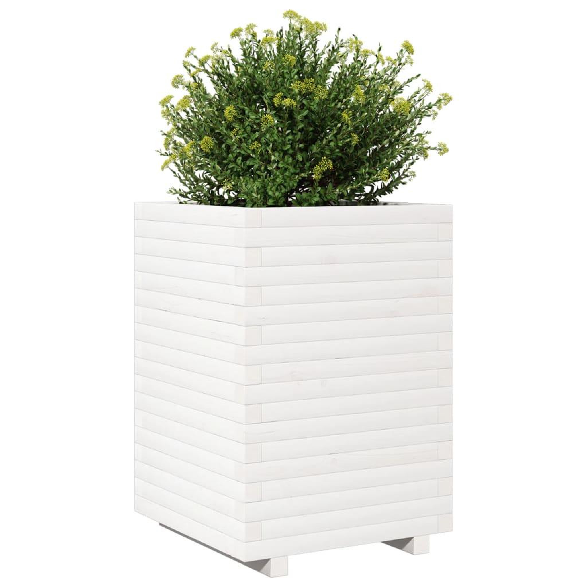 Voir la diapositive 4 : VIDAXL Jardiniere blanc 50x50x72 cm bois de pin massif