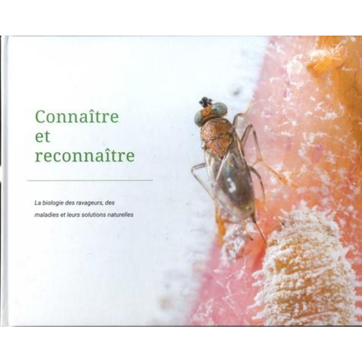 CONNAITRE ET RECONNAITRE. LA BIOLOGIE DES RAVAGEURS, DES MALADIES ET LEURS SOLUTIONS NATURELLES, Van der Ent Sjoerd