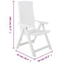 Voir la diapositive 6 : VIDAXL Chaises inclinables de jardin lot de 2 Plastique Blanc