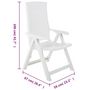 Voir la diapositive 6 : VIDAXL Chaises inclinables de jardin lot de 2 Plastique Blanc