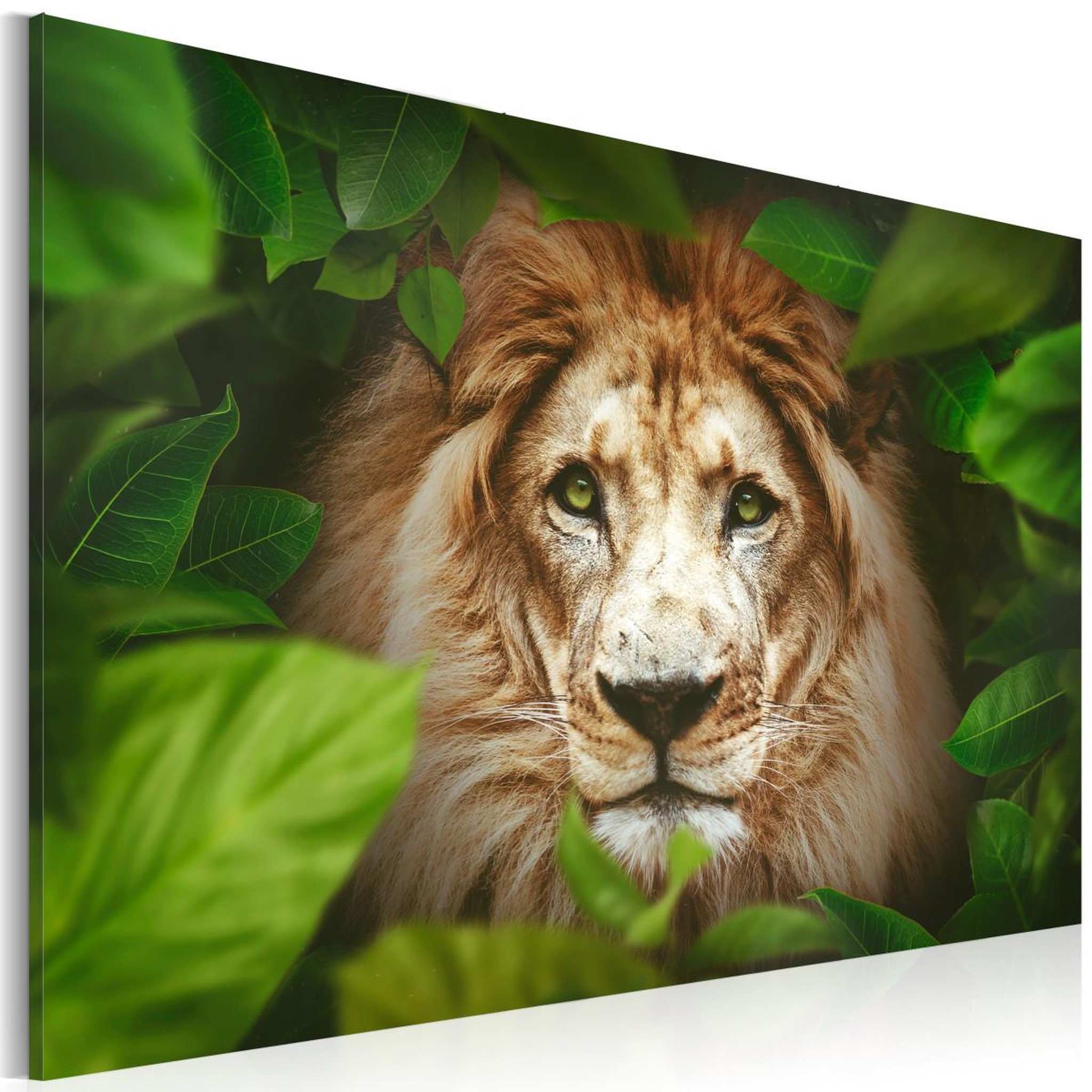 Paris Prix Tableau imprimé  eyes of the jungle. Coloris disponibles : Multicolore