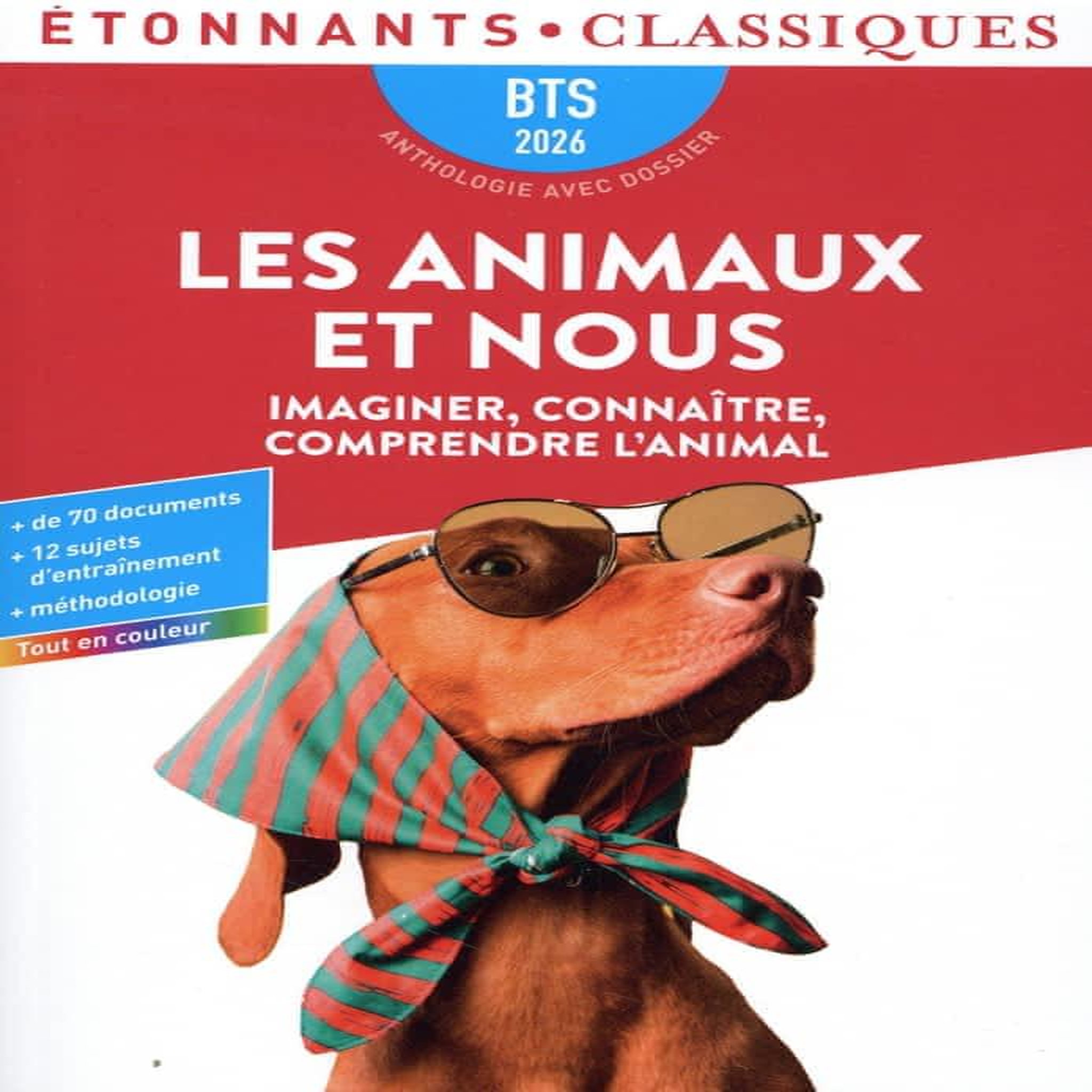 LES ANIMAUX ET NOUS. IMAGINER, CONNAITRE, COMPRENDRE L'ANIMAL, EDITION 2026, Chavineau Astrid