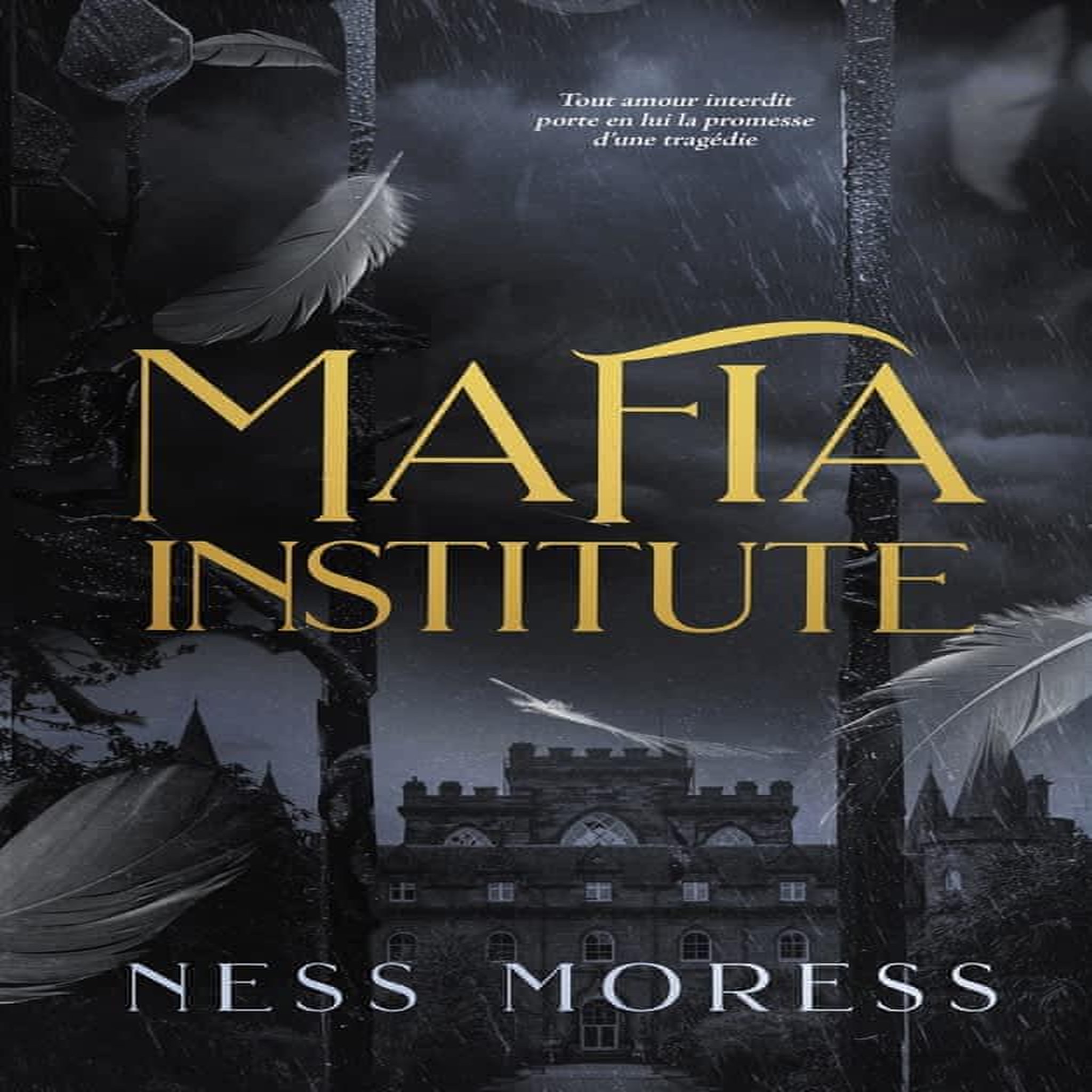 MAFIA INSTITUTE, Moress Ness