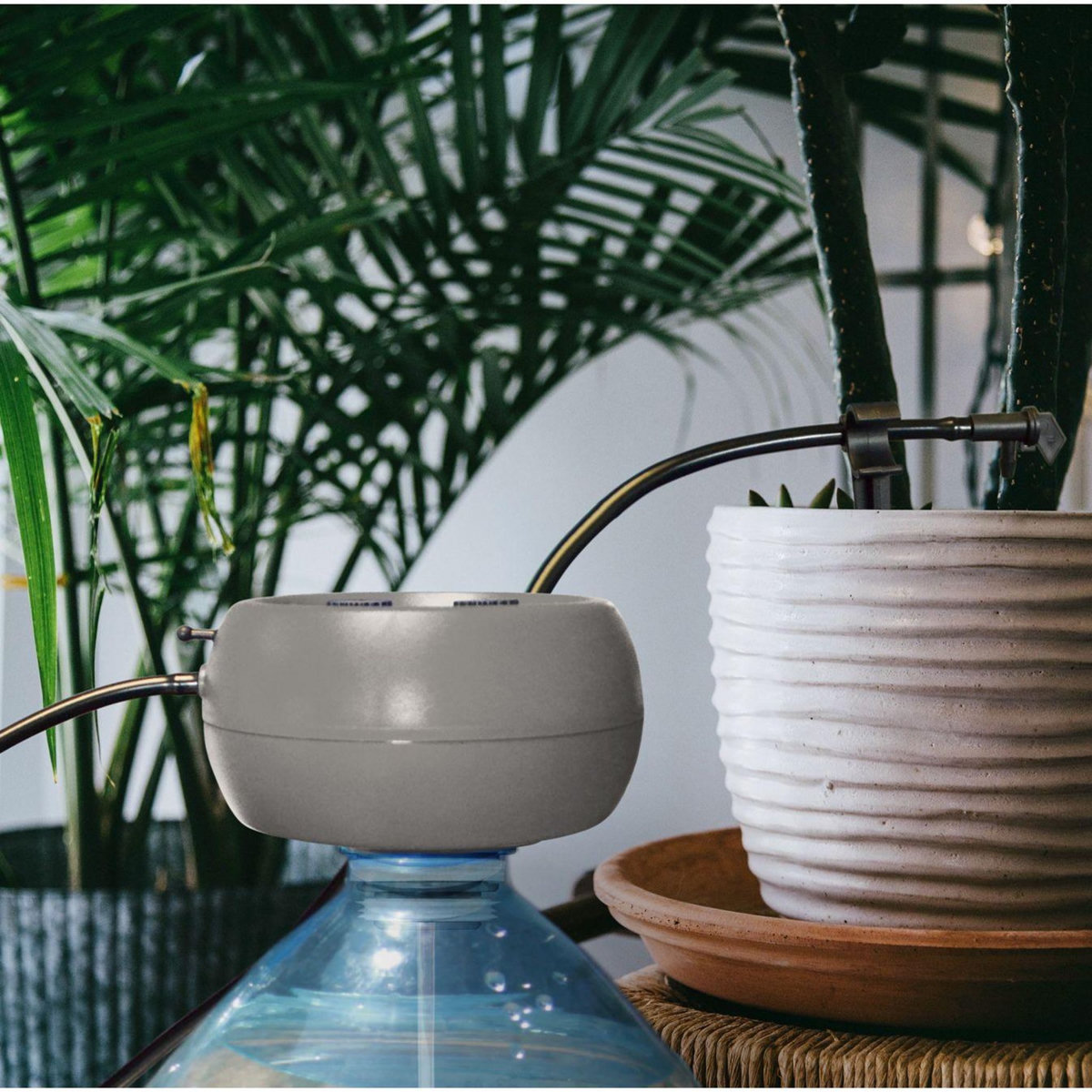 Jardibric Kit autonome 10 plantes Jardibric