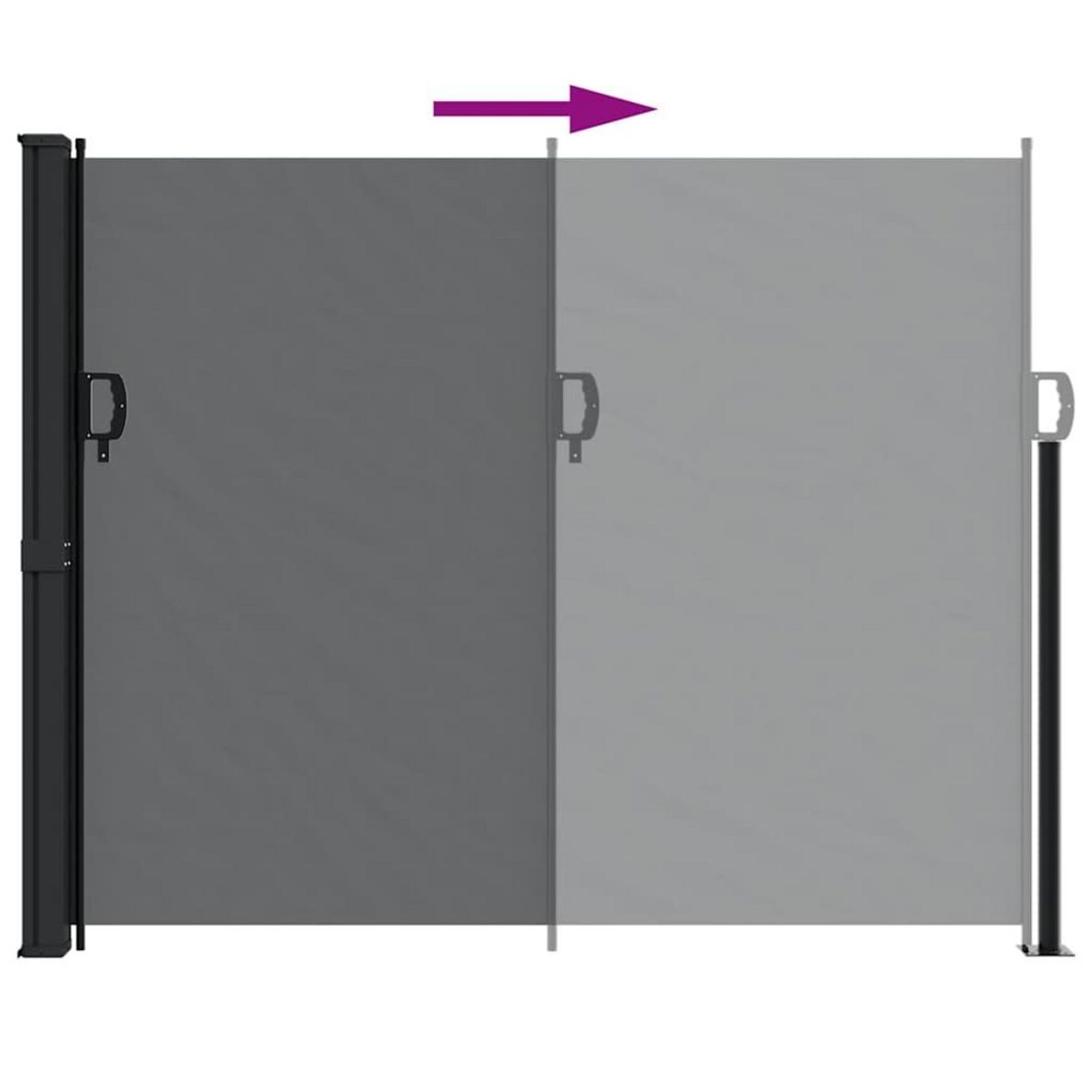 VIDAXL Auvent lateral retractable noir 160x300 cm