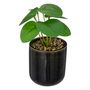 Voir la diapositive 1 : ATMOSPHERA Plante Artificielle en Pot  Reac  16cm Noir & Vert