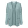 Voir la diapositive 1 : JACQUELINE DE YONG Cardigan  Femme JDY Open