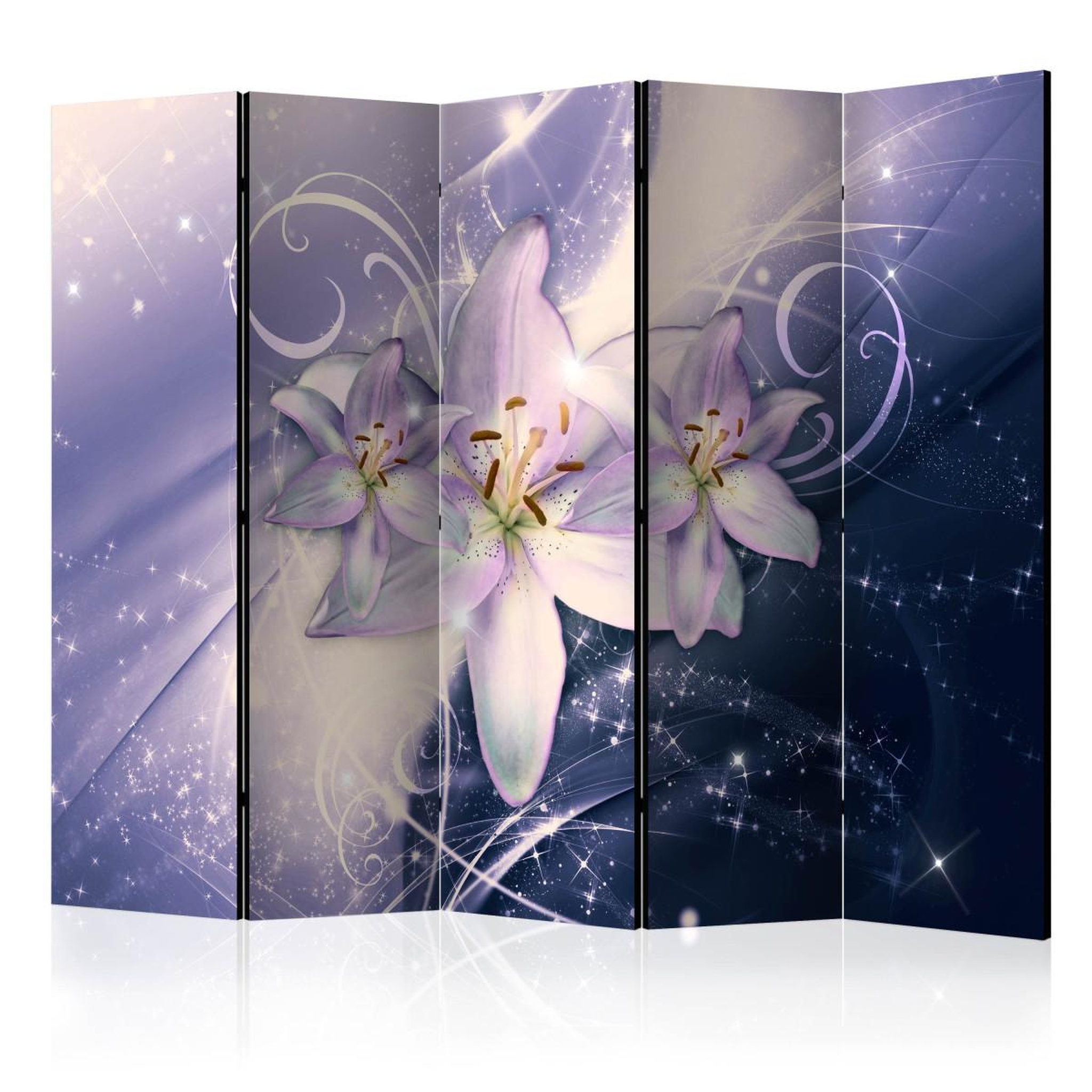 Paris Prix Paravent 5 volets  wintry galaxy  172x225cm
