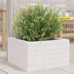 VIDAXL Jardiniere blanc 40x40x23 cm bois de pin massif