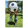 Voir la diapositive 3 : Hape Jumbo Football - Le maxi ballon de Foot