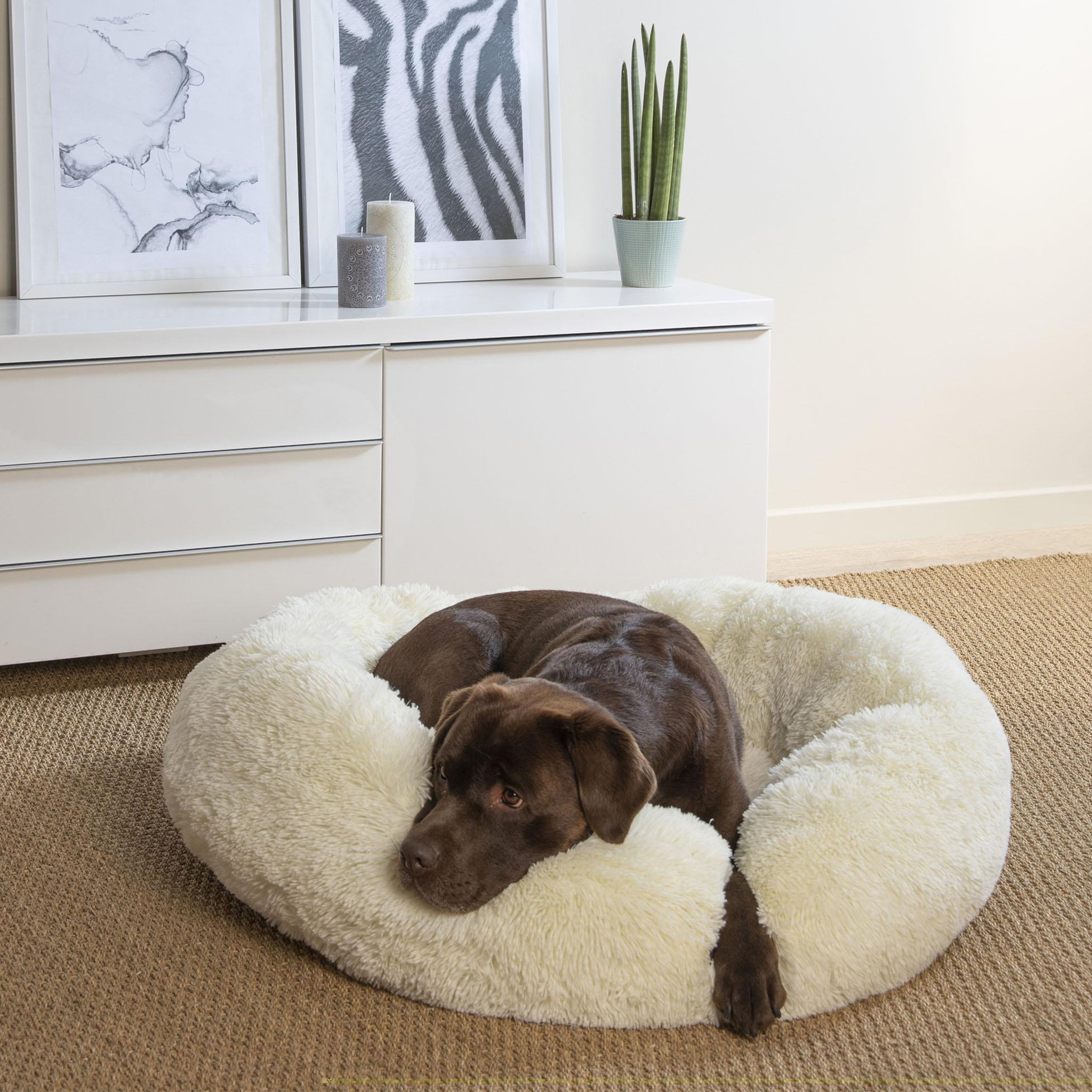 Voir la diapositive 2 : Eden Coussin rond chat ou chien relax