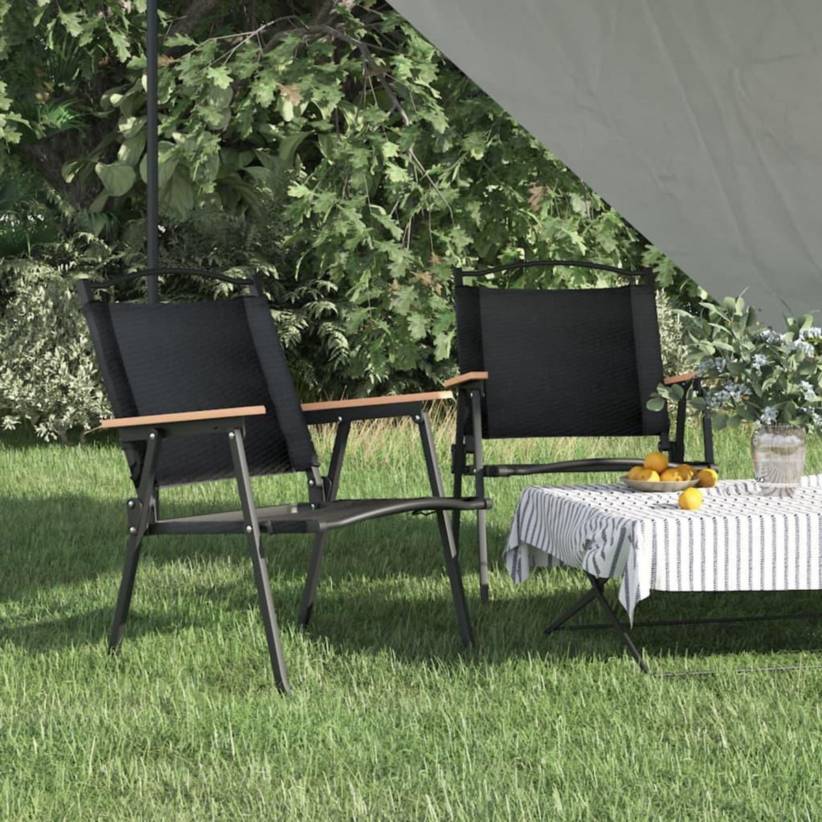 VIDAXL Chaises de camping lot de 2 Noir 54x55x78 cm Tissu Oxford