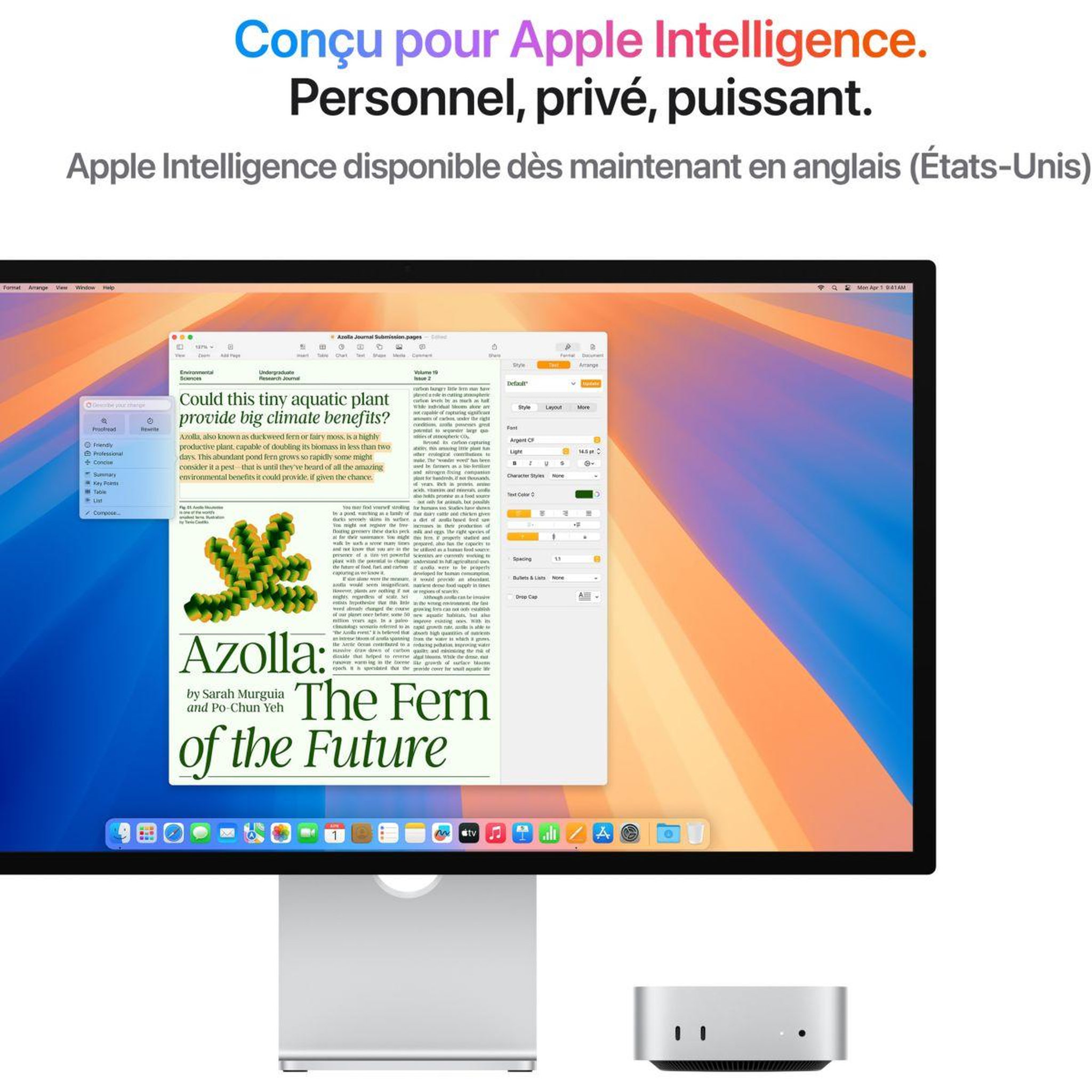 Voir la diapositive 4 : APPLE Ordinateur Apple Mini M4 16Go RAM 256Go CPU 10 GPU 10