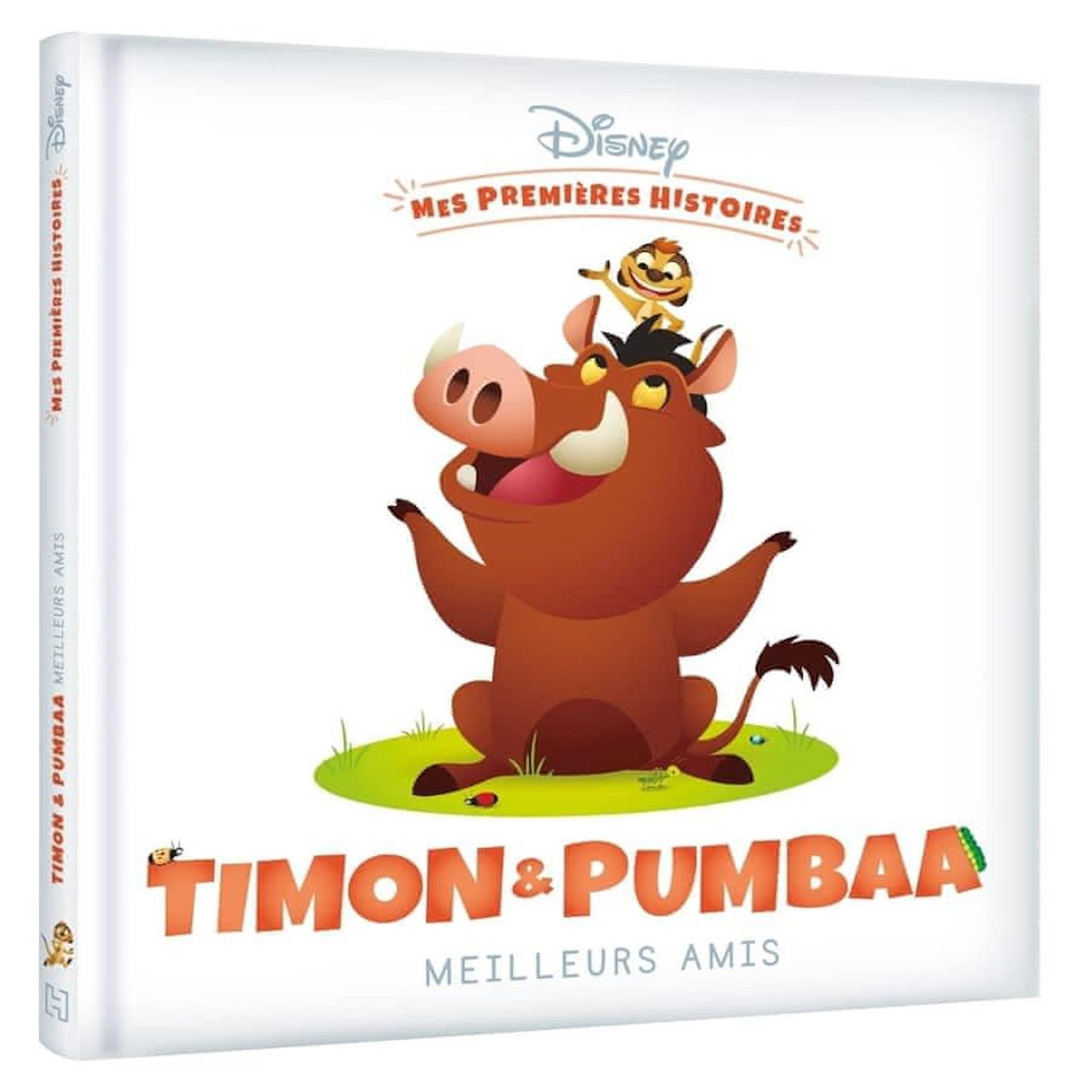 TIMON ET PUMBAA MEILLEURS AMIS, Disney