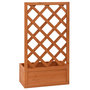Voir la diapositive 4 : VIDAXL Jardiniere a treillis de jardin Orange 50x25x90cm Bois de sapin