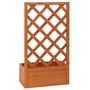 Voir la diapositive 4 : VIDAXL Jardiniere a treillis de jardin Orange 50x25x90cm Bois de sapin