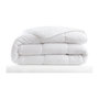 Voir la diapositive 1 : ABEIL Couette Douceur Auvergnate - 220 x 240 cm - Chaude - 2 personnes - ABEIL