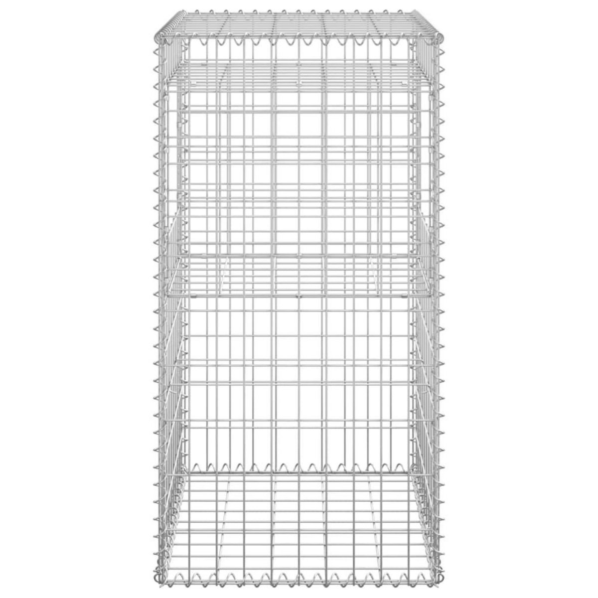VIDAXL Poteaux a panier de gabion 2 pcs 50x50x100 cm Fer