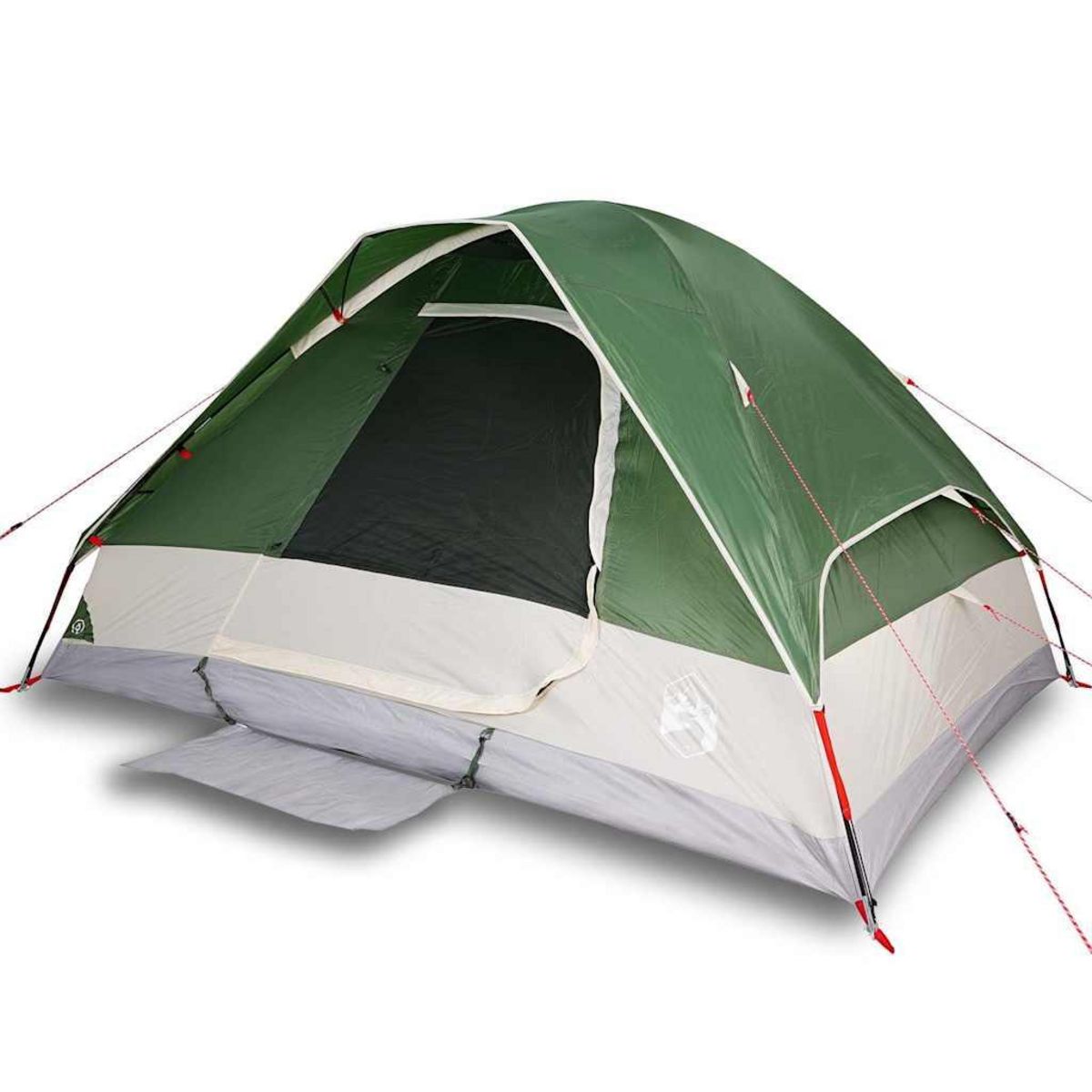 VIDAXL Tente de camping a dome 2 personne vert impermeable
